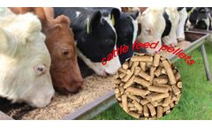 Things You Need To Know About Dairy Cow Feed Pellets Formulations
