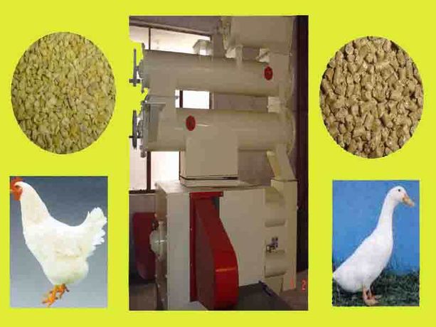 How To Make Poultry Feed Pellet We Have Animal Feed Mill On Sale-3
