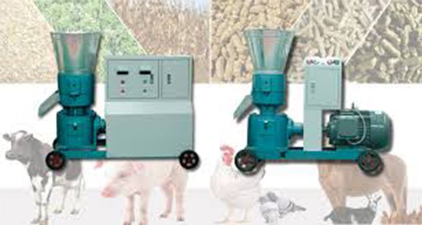 Feed Processing Equipment Accelerates The Development Of The Feed Industry-3