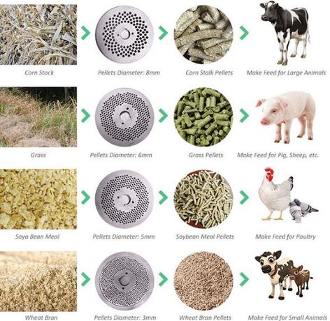 Things You Need To Know About Animal Feed Pellets -3