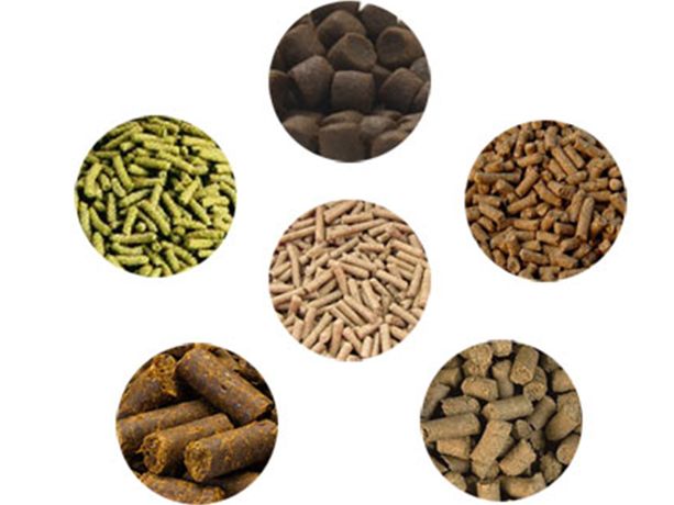 Things You Need To Know About Animal Feed Pellets -4