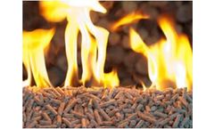 Biomass Pellet Machine Is Environmental Protection Equipment