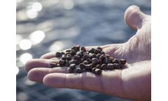 Fish Farmers Can Produce Fish Feed Pellets Themselves In Nigeria
