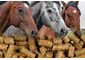 Horse Feed Pellets Analysis