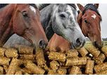 Horse Feed Pellets Analysis