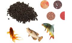How To Choose Best Fish Feed Pellets For Goldfish