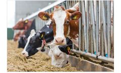 Dairytuner - Ration and Feed Management Optimization Services