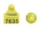 Idology - Model My-EID & My-GVT - Button Ear Tags & Panel Tags