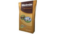 Welmin - Beef Rumigest Mineral Supplement
