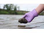 Real-Time Continuous Analysis for Denitrification Studies