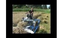 BCS 622 Reaper Binder - Video