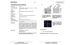 BioVision - Model A1069 - Anti-Cas9 Antibody (7A9) Brochure