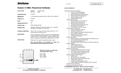 Human - Model 4-1BBL - Polyclonal Antibody - Datasheet