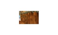 Biotechnology solutions for leather tanneries industry