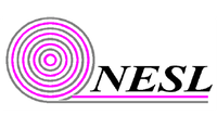 Non Entry Systems Ltd (NESL)