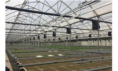 Prospex - Gothic Arc Naturally ventilated Greenhouses