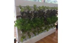 Hydroponic Vertical Wall Outdoor System