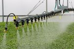 Disinfection Units for Irrigation Water - Agriculture - Irrigation