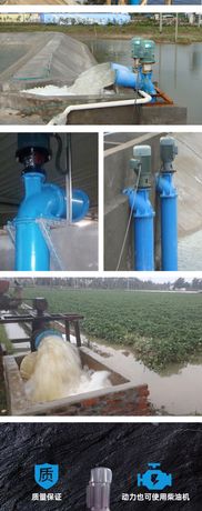 Large capacity salty water pump vertical axial flow pump for aquaculture,fish & shrimp farming-2