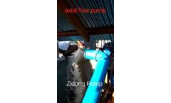 Anti-corrosion vertical axial flow pump for fish farming aquaculture.(By ZIDONG pump company)