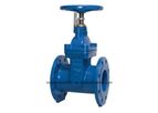 Rodeo - Model RODEO0006GV - Ductile Iron Flanged Gate Valve