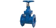 Ductile Iron Flanged Gate Valve