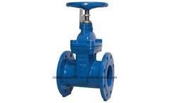 Rodeo - Model RODEO0006GV - Ductile Iron Flanged Gate Valve