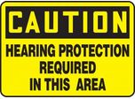 Hearing Protection PPE: Beyond the Basics