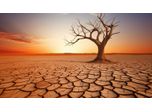 Heat Stress