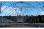 Film Greenhouses
