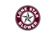 Lone Star Blower, Inc.