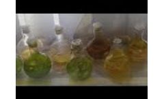 Algal Solutions for Local Energy Economy (ASLEE) Video
