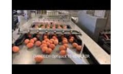 Damtech Egg grader and Repacker 15000Eph Video