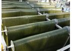 Gross-Wen - Revolving Algal Biofilm (RAB) Wastewater Treatment Process System