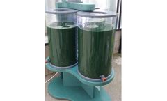Neoalgae - Model Alglow - Spirulina Microalgae
