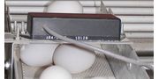 Electronic Egg Counter Sensors