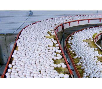 PMSI - Model ICCS - Intelligent Egg Conveyor Control System