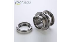 YALAN Seals - Model B173 - YALAN B173 Mechanical Seal for Slurry Pumps
