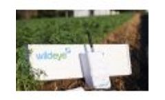Wildeye Soil Moisture Monitoring Video