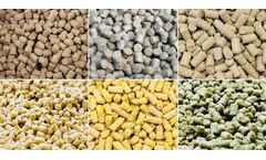 How Is The Processing Flow Of Poultry Feed Pellets?