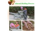 Taizy Machinery - Almond Shelling Machine