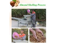 Multifunctional stainless steel almond nut slicer - Taizy