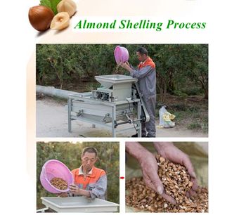 Taizy Machinery - Almond Shelling Machine