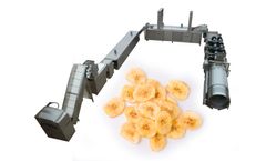 Taizy Machinery - Fried Banana Plantain Chips Production Line
