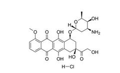 MedChemExpress - Model HY-15142 - Doxorubicin Hydrochloride