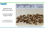 Grain Analyzer for Detection of Black Fungus in Wheat Brochure