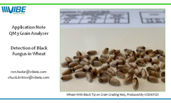 Grain Analyzer for Detection of Black Fungus in Wheat Brochure