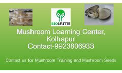 Mushroom Learning Center Kolhapur