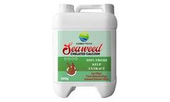 Camef - Seaweed Extract Chelated Calcium Fertilizer