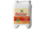 Camef - Seaweed Extract Root Growth Fertilizer